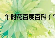 午時花百度百科（午時花為什么叫午時花）