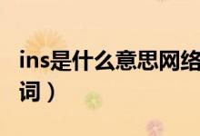 ins是什么意思網(wǎng)絡(luò)語（ins是什么意思網(wǎng)絡(luò)熱詞）