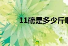 11磅是多少斤?。?1磅是多少斤）