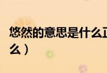 悠然的意思是什么正確答案（悠然的意思是什么）