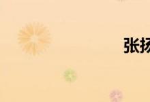 張揚(yáng)的意思