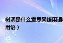 樹洞是什么意思網(wǎng)絡(luò)用語樹洞的意義（樹洞是什么意思網(wǎng)絡(luò)用語）
