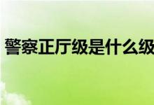警察正廳級(jí)是什么級(jí)別（正廳級(jí)是什么級(jí)別）