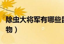 除蟲大將軍有哪些昆蟲（除蟲大將軍有哪些動(dòng)物）