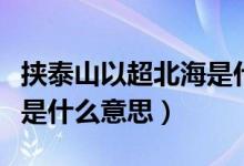 挾泰山以超北海是什么生肖（挾泰山以超北海是什么意思）
