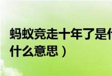螞蟻競走十年了是什么梗（螞蟻競走十年了是什么意思）