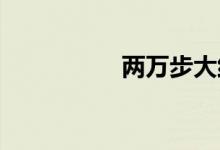 兩萬(wàn)步大約有多少公里