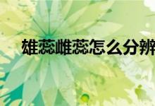 雄蕊雌蕊怎么分辨(雄蕊雌蕊怎么區(qū)分)
