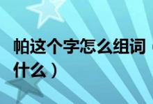 帕這個字怎么組詞（帕組詞帕字組詞和成語有什么）