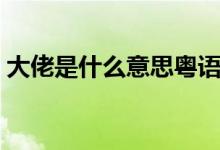大佬是什么意思粵語（大佬是什么意思網(wǎng)絡(luò)）