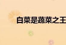 白菜是蔬菜之王嗎（白菜是哪個科）