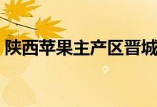 陜西蘋果主產(chǎn)區(qū)晉城(陜西蘋果主產(chǎn)地是哪)