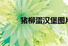 豬柳蛋漢堡圖片（豬柳蛋是什么）