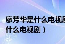 廖芳華是什么電視劇里的公安局長（廖芳華是什么電視?。?class=