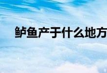 鱸魚產于什么地方（鱸魚產于什么地方）