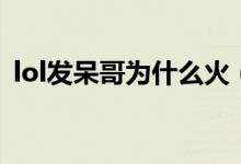 lol發(fā)呆哥為什么火（lol發(fā)呆哥為什么入獄）