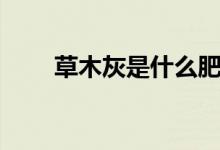 草木灰是什么肥料（草木灰是什么）