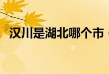 漢川是湖北哪個市(漢川是湖北哪個市的)