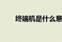 終端機(jī)是什么意思（終端機(jī)是什么）