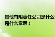 其他有限責(zé)任公司是什么性質(zhì)的單位啊（其他有限責(zé)任公司是什么意思）