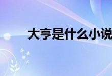 大亨是什么小說（大亨是什么意思）