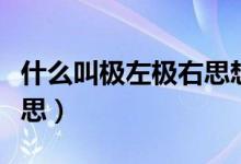 什么叫極左極右思想（極左極右思想是什么意思）