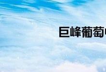 巨峰葡萄中國產(chǎn)地哪里