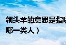 領(lǐng)頭羊的意思是指哪種人（領(lǐng)頭羊的意思是指哪一類人）
