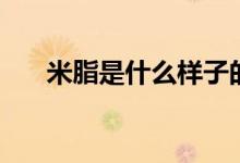 米脂是什么樣子的（米脂是什么地方）