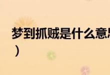 夢到抓賊是什么意思（mdzz是什么意思求解）