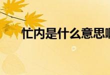 忙內(nèi)是什么意思?。?nèi)是什么意思）