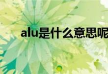 alu是什么意思呢（alu是什么的簡稱）