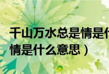 千山萬(wàn)水總是情是什么意思?。ㄇ饺f(wàn)水總是情是什么意思）