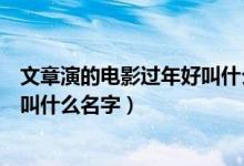 文章演的電影過年好叫什么名字（文章演的關(guān)于過年的電影叫什么名字）