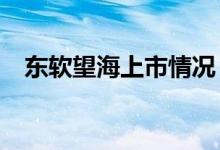 東軟望海上市情況（電容wh是什么單位）