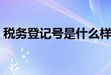 稅務(wù)登記號是什么樣子（稅務(wù)登記號是什么）