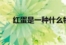 紅蛋是一種什么物質（紅蛋是什么蛋）