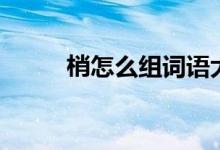梢怎么組詞語大全(梢怎么組詞)