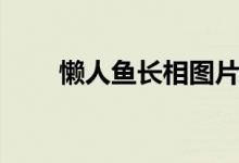 懶人魚長(zhǎng)相圖片（懶人魚長(zhǎng)什么樣）