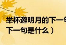 舉杯邀明月的下一句詩是什么（舉杯邀明月的下一句是什么）