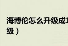 海博倫怎么升級(jí)成100級(jí)史詩(shī)（海博倫怎么升級(jí)）