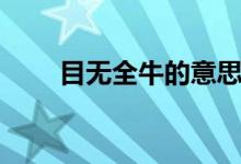 目無全牛的意思（目無全牛的意思）