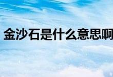 金沙石是什么意思?。ń鹕呈鞘裁礃幼拥模?class=