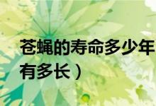蒼蠅的壽命多少年（蒼蠅的壽命 蒼蠅的壽命有多長）