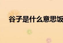 谷子是什么意思飯圈用語（谷子是什么）