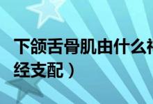 下頜舌骨肌由什么神經(jīng)支配(頦舌肌有什么神經(jīng)支配)