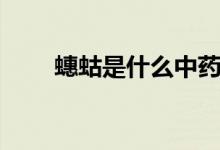 蟪蛄是什么中藥（蟪蛄是什么蟲子）