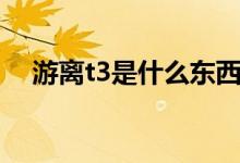游離t3是什么東西（游離t3是什么意思）