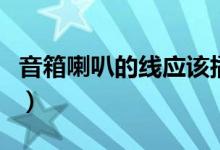 音箱喇叭的線應(yīng)該插哪（音箱喇叭的線怎么接）