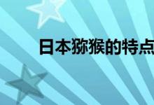 日本獼猴的特點(diǎn)（日本獼猴的特點(diǎn)）